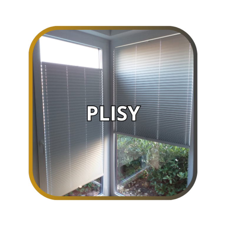 Plisy